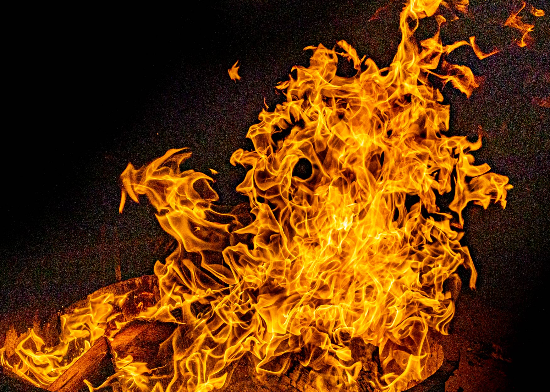 _09A6758-website2