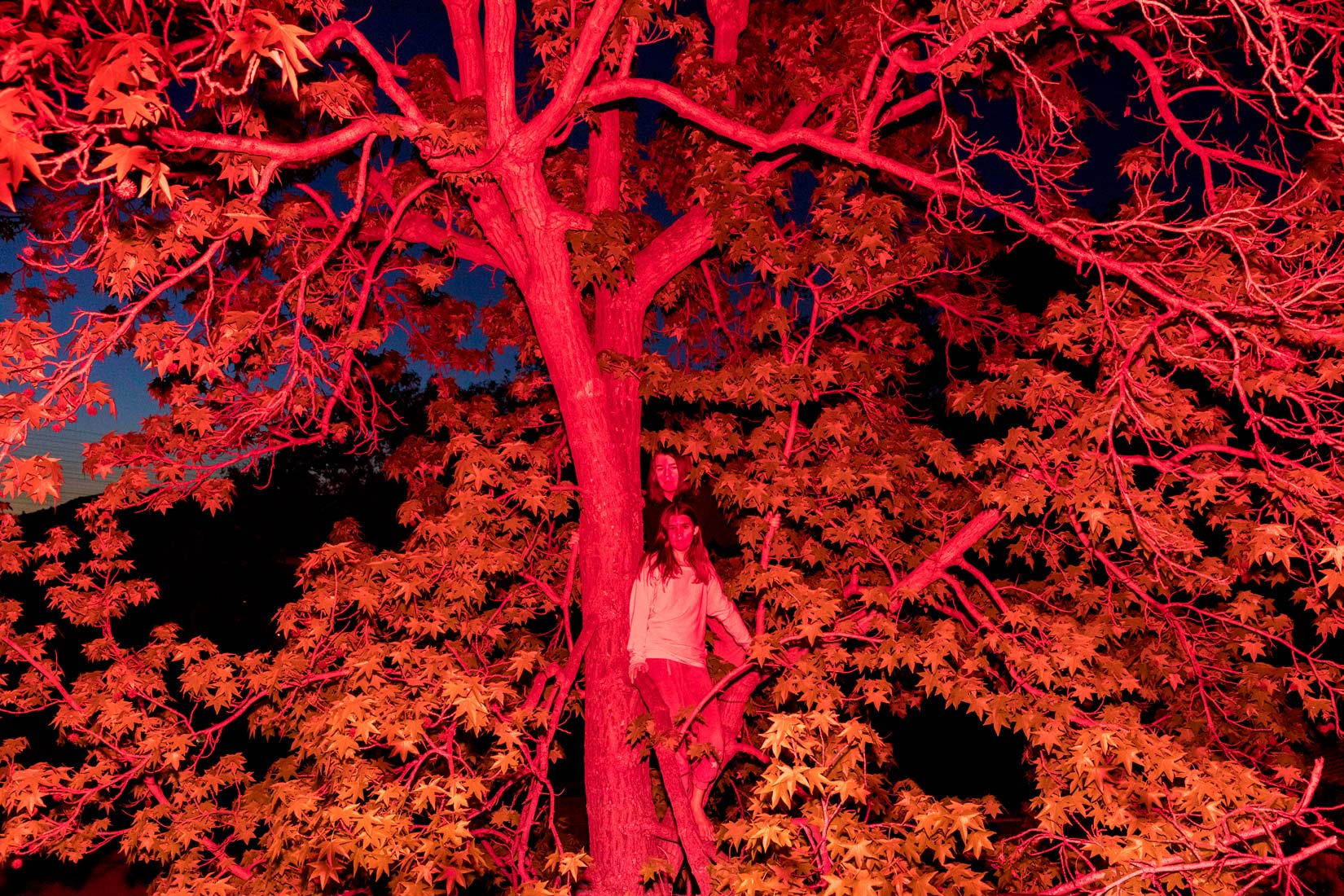 _09A8079-2021-website